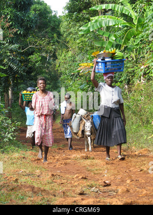 local traiders with fruits and other goods on their heads and a donkey on foot in rural area on the way to the market of J�r�mie, Haiti, Grande Anse, Jeremie Stock Photo