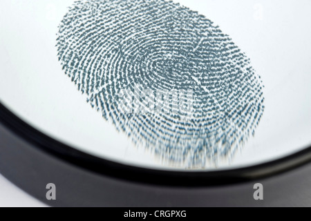 fingerprint under loupe Stock Photo