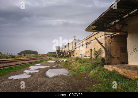 Abandoned factory on a wet day, gray sky, puddles on the ground, graffiti. Stock Photo