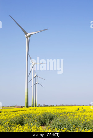 Wind turbines in a line against a blue sky in a yellow field Stock Photo