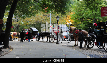 Autumn tree view 3 horse-drawn carriages parked roadside Doris C.Freedman Plaza, East Drive, Central Park South, New York Stock Photo