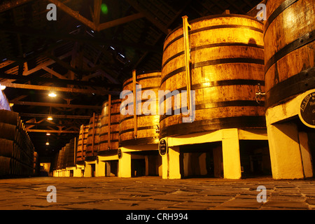 Barrels of port in the cellar of the Ferreira Port Wine Lodge in Vila Nova de Gaia, Porto, Portugal. Stock Photo