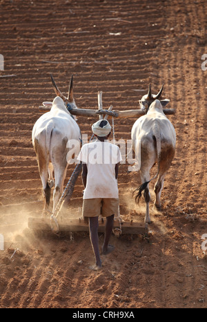Indian farmer working in his field Andhra Pradesh South India Stock ...