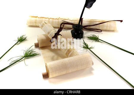 yellowed papyrus scrolls with quill, inkpot and papyrus on a light background Stock Photo