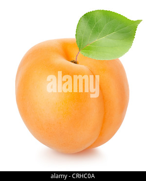 Apricot with leaf isolated on a white background Stock Photo