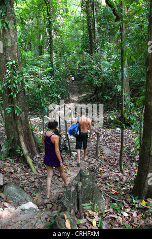 Tourists on rainforest trail in Cabo Blanco Nature Refuge, Mid-Pacific coast of Costa Rica. Stock Photo