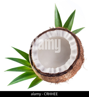 Coconut on a white background Stock Photo