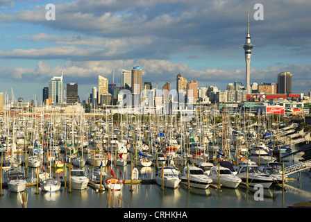 sailing boats in Port of Auckland, New Zealand, Auckland Stock Photo