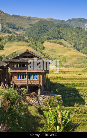 Traditional wood house and the rice terraces of Longsheng - Longji village -  Guangxi province - China Stock Photo