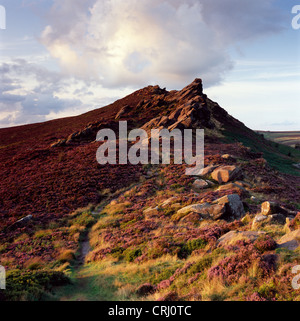 Heather at Ramshaw Rocks,Peak District National Park, England, UK Stock Photo