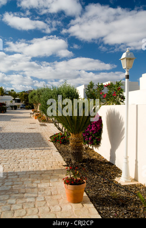 Gardens and Villas, Alondra suites, Puerto Del Carmen, Lanzarote, Canary Islands, Spain. Stock Photo