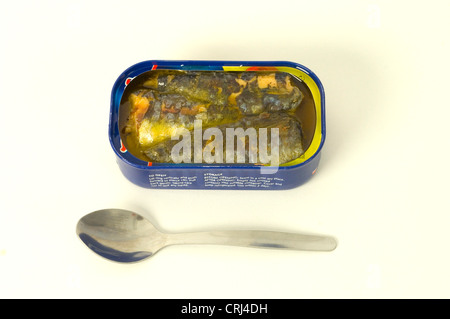 Can Canned Diet Dietry food Dinner Eat Fatty acids Fish Fish oil Food stuff Foodstuff Meal Oil Omega-3 Open Pilchard Pilchards R Stock Photo