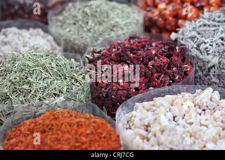 Spices Stock Photo