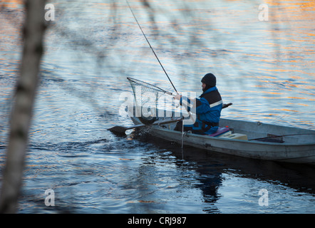 isolated fisherman has caught a salmon from a rowboat / skiff / dinghy  , Finland at river Oulujoki , Oulu Stock Photo