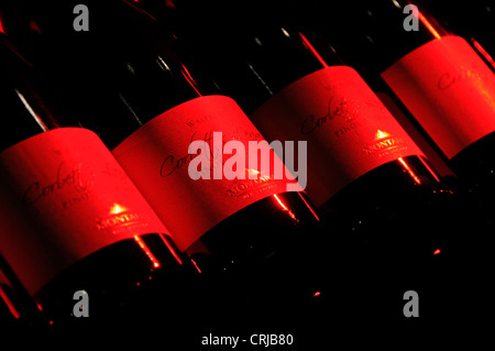 wine bottles lit by a ray of red light from a red-stained window at the Brancott Winery Marlborough region, New Zealand Stock Photo