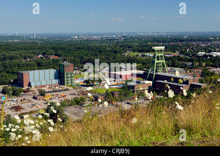 stockpile Halde Haniel, view to headgear coal mine Prosper-Haniel, Germany, North Rhine-Westphalia, Bottrop Stock Photo