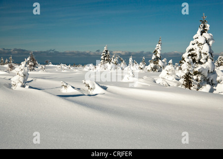 North America, Canada, Nova Scotia, Cape Breton, Cabot Trail in winter Stock Photo