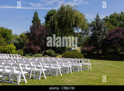 Rows of formal white wooden wedding chairs set up for a wedding or concert Stock Photo