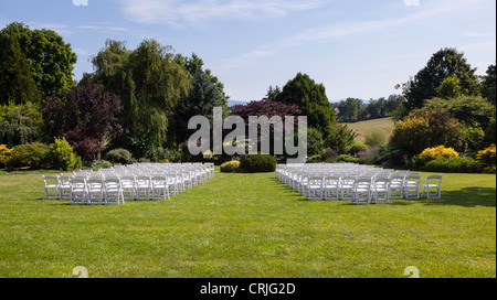 Rows of formal white wooden wedding chairs set up for a wedding or concert Stock Photo