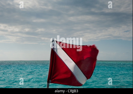 Diver down flag and sky, Grand Cayman Stock Photo