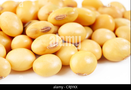 close up soybean Stock Photo