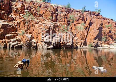 Fording a waterhole in Ormiston Gorge in the West MacDonnell Ranges Stock Photo