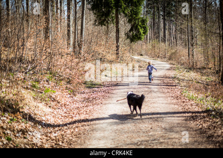 Boy and dog on dirt path in forest Stock Photo