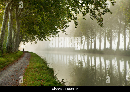 a jogger on the towpath of the Canal du Midi nr Castelnaudary, Languedoc-Rousillon, France Stock Photo