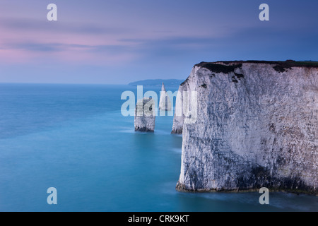 the white cliffs at Studland, Isle of Purbeck, Jurassic Coast, Dorset, England, UK Stock Photo