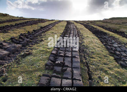 Peat cutting on Skye in Scotland. Stock Photo