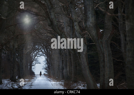 Woman riding horse on snowy path Stock Photo