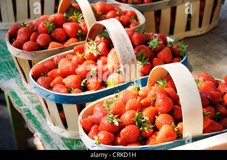Strawberries in baskets at French market. Stock Photo