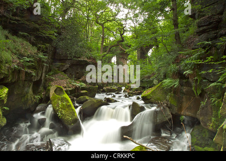 Viaduct and waterfall part of the Fairies Chapel in Healey Dell nature reserve Stock Photo