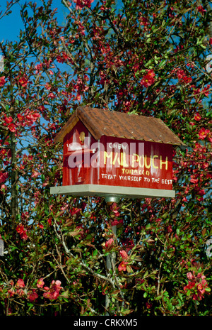 Flowering quince with red barn birdhouse painted with old time tobacco advertisement, Missouri USA Stock Photo