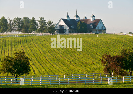 Kentucky, Lexington, Manchester Farm, Thoroughbred horse breeding farm, barn. Stock Photo