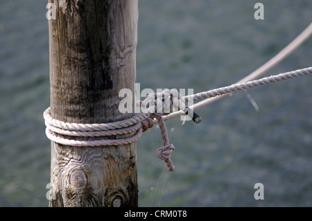 Marine knot Stock Photo