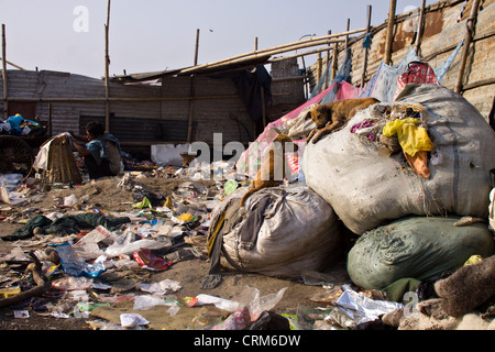 Streets of Katmandu, tip, dump, rubbish, dogs. Pictured in Asia, Nepal, Katmandu on March 31, 2011. (CTK Photo/David Tesinsky) Stock Photo