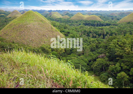 Chocolate Hills in Bohol, Visayas, Philippines Stock Photo