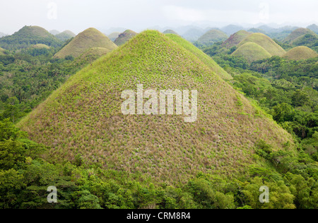 Chocolate Hills in Bohol, Philippines Stock Photo