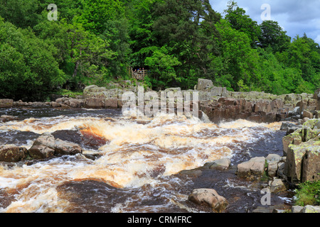 River Tees above High Force waterfall after heavy rain near Middleton in Teesdale, County Durham, England, UK. Stock Photo