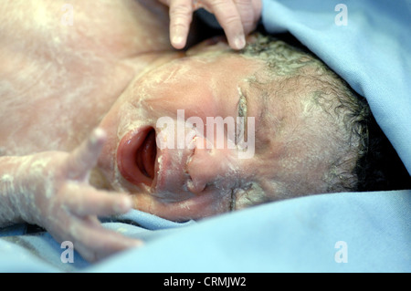 Close up of a new born baby in hospital wraps in a cot, soon after birth. A Paeditrician will clean and check the child's health before presenting her to her mother. Stock Photo