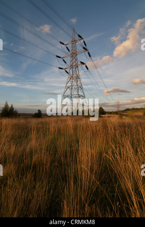 Electricity Pylon in Countryside Stock Photo - Alamy