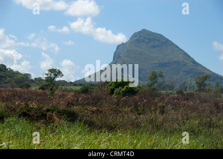 Island of Mauritius. Rugged volcanic countryside with typical sugar cane fields. Stock Photo