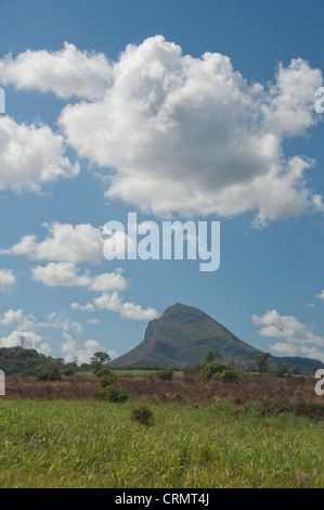 Island of Mauritius. Rugged volcanic countryside with typical sugar cane fields. Stock Photo