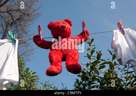 Red teddy bear hanging out to dry on washing line with blue sky background Stock Photo