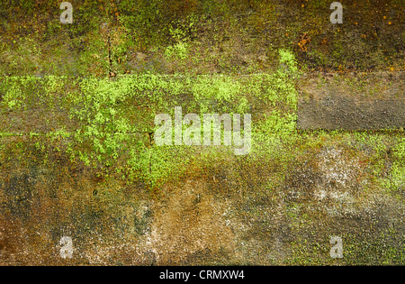 Old brick wall covered with moss for background Stock Photo