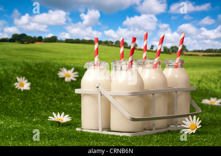 Crate of vintage milk bottles with drinking straws in rural countryside setting Stock Photo