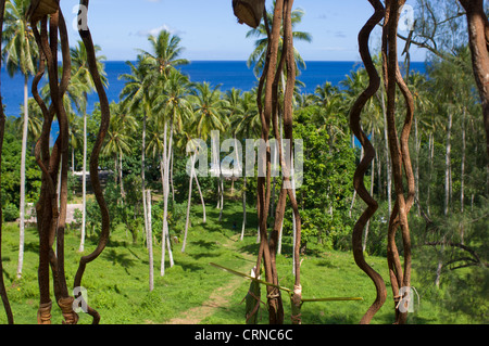 Vines hanging ready for the jumpers,  before the Nagol land-diving ceremony, Pentecost Island, Vanuatu Stock Photo