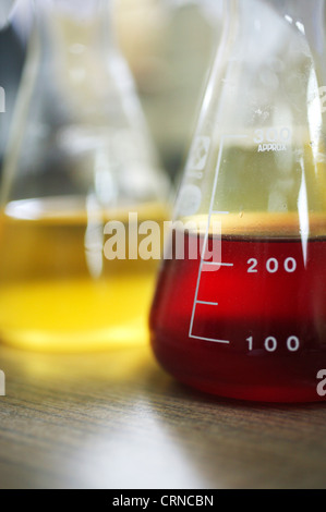 Two Erlenmeyer flask containing unknown yellow and red liquid Stock Photo