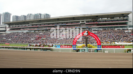 The horse against the backdrop of the Sha Tin Racecourse in Hong Kong Stock Photo